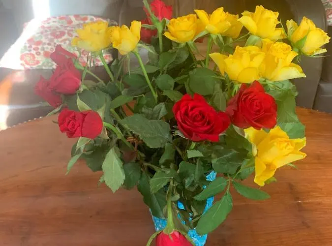 Clos Des Oliviers Aubie-et-Espessas